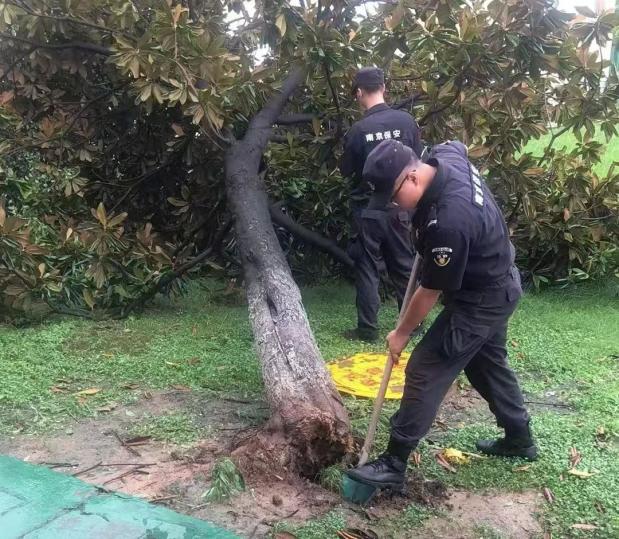 C:/Users/BA/Desktop/風雨過后南京保安迅速行動，恢復安“寧”面貌/10.jpg10